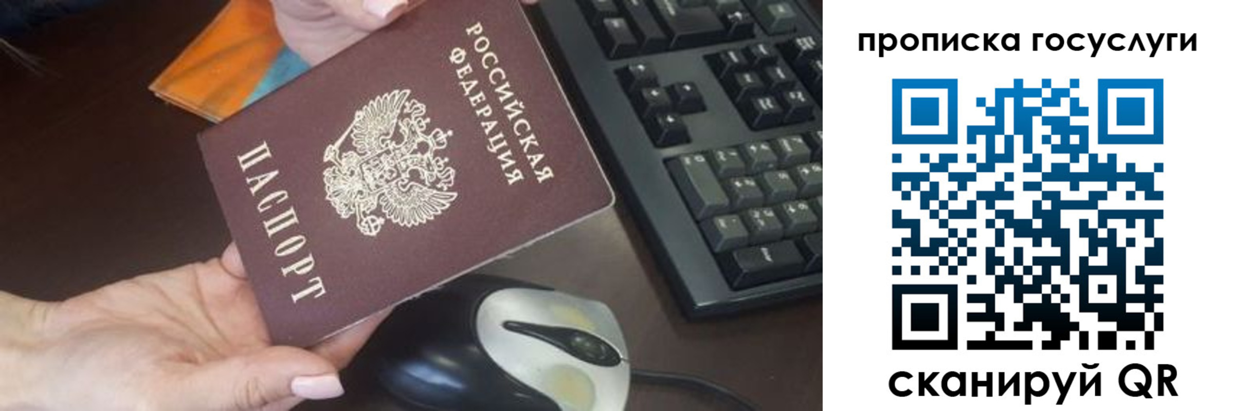прописка от собственника в Димитровграде